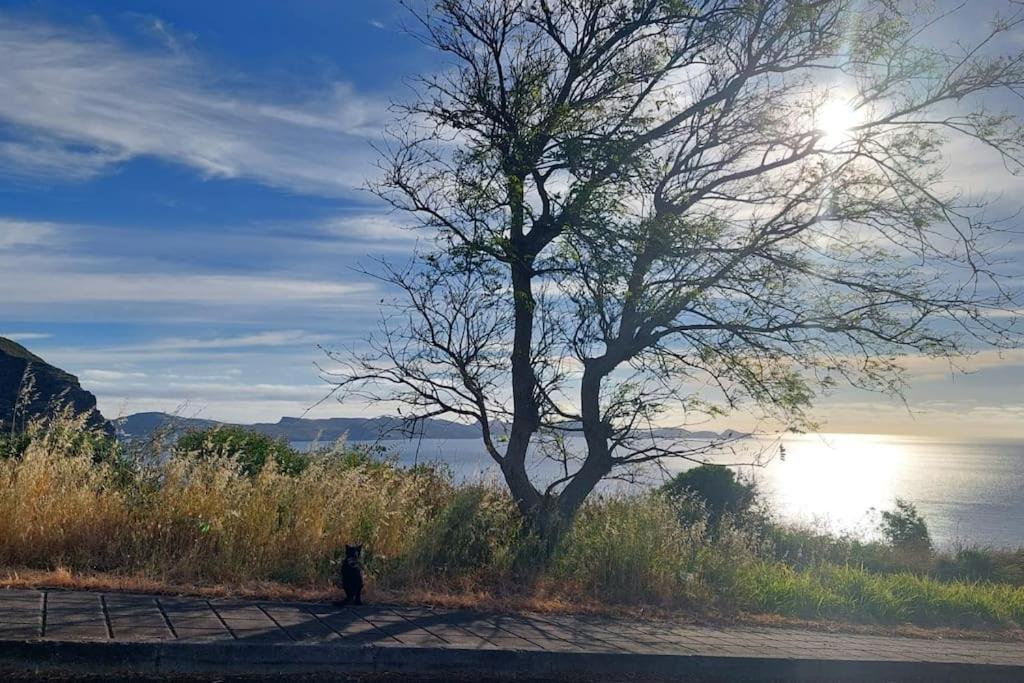 Апартаменты Viewpoint Machico - Lovely Nature View Экстерьер фото