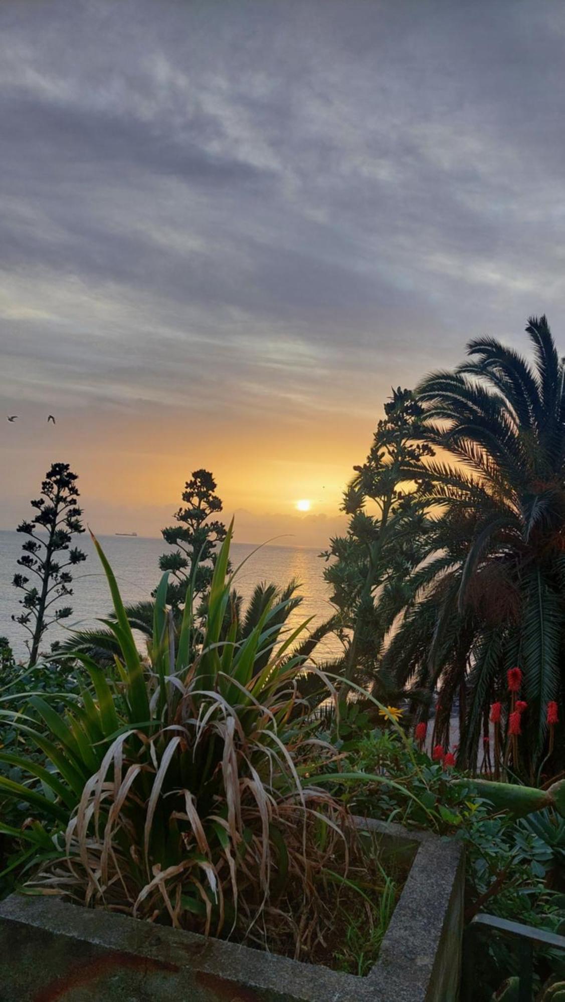 Апартаменты Viewpoint Machico - Lovely Nature View Экстерьер фото